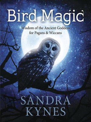 cover image of Bird Magic